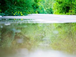 古诗游戏书画风参考