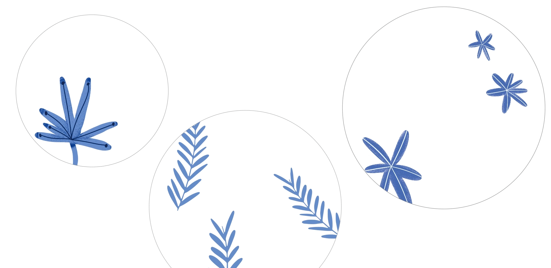 OCEAN VACATION - 夏日视觉产品设计