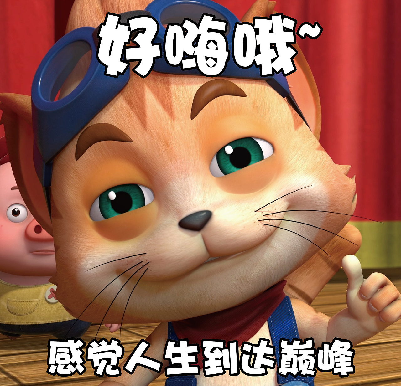 探探猫表情包大声说出来我们的目标是什么