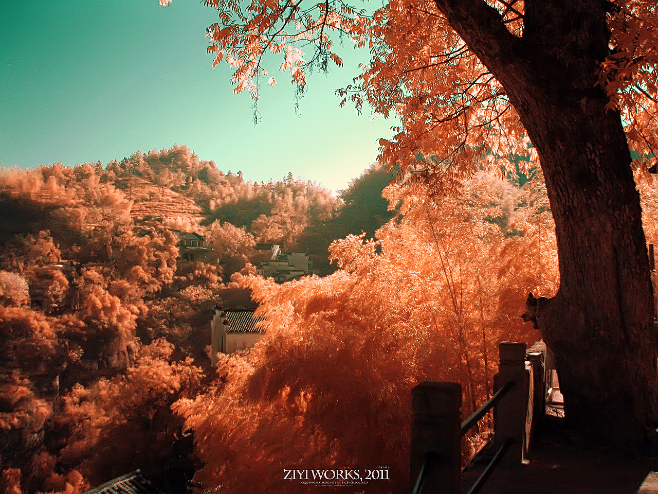 《上善若水，大道齐云》590篇