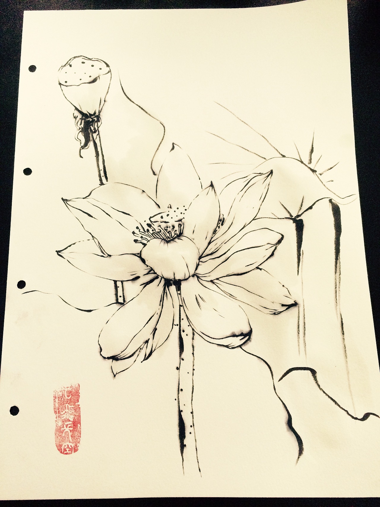 花卉植物动物线条水墨画