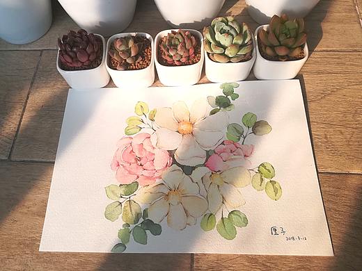 作品集