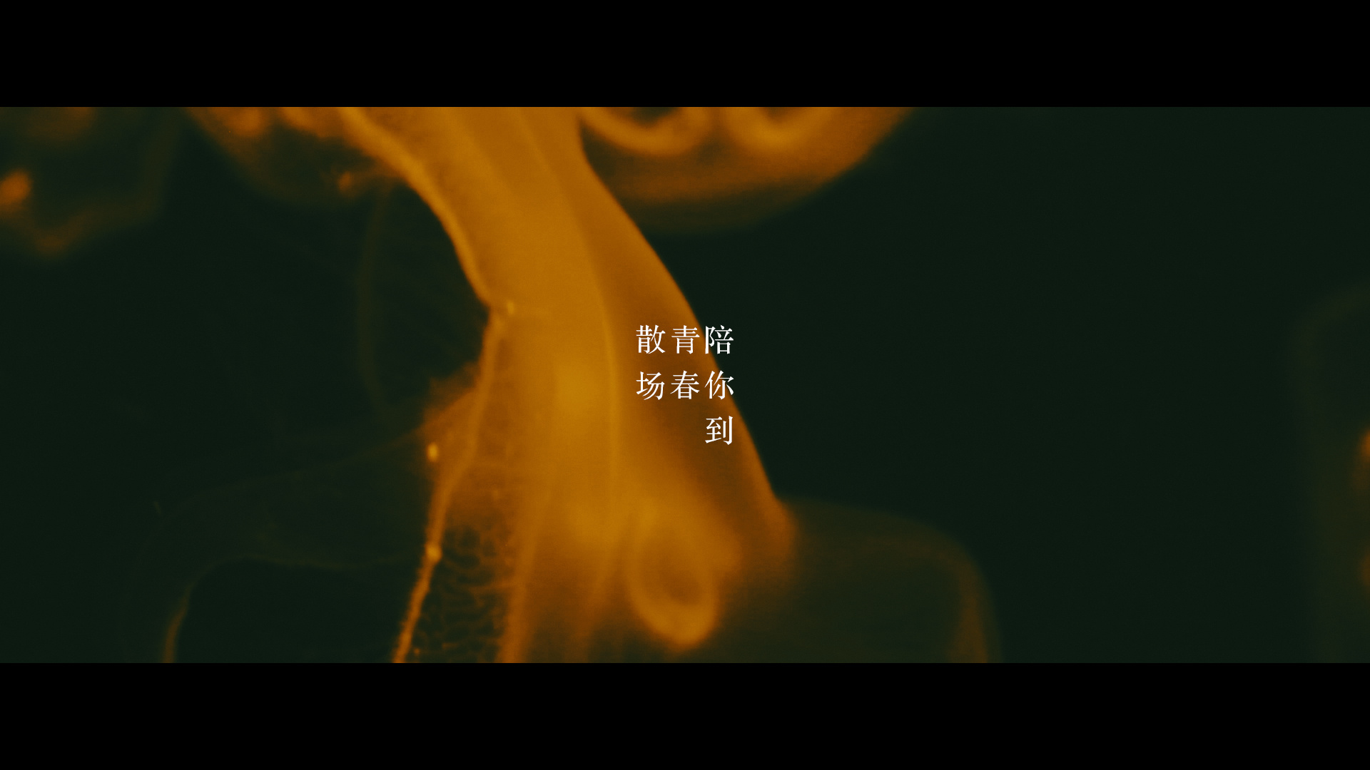 陪你到青春散场