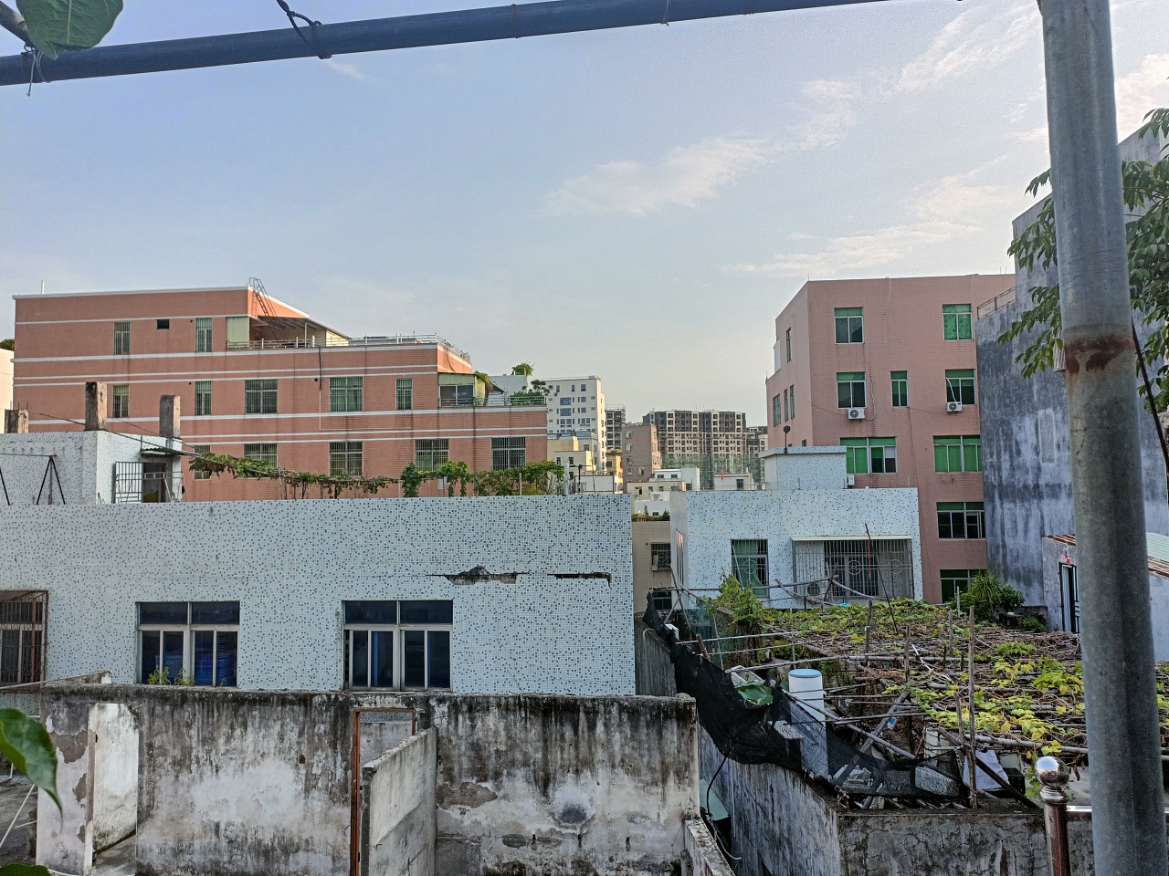《心泛起了涟漪》