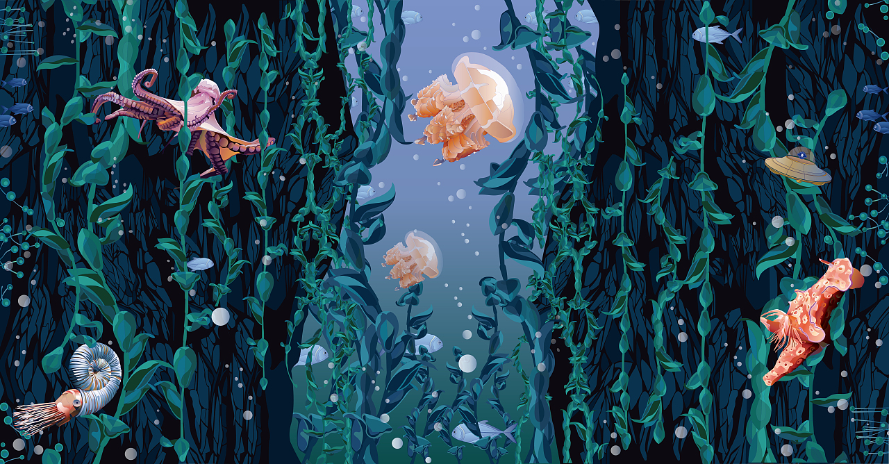 主题:生命的起源
参与者年龄:20岁以上<br>地点:云南 <br>创意关键词:海洋、海洋生物