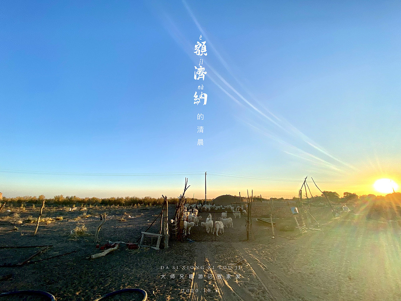 为了感受纯生态的体验,这次我没有住宾馆,选的额济纳农家小院。旁边养了几十头山羊。