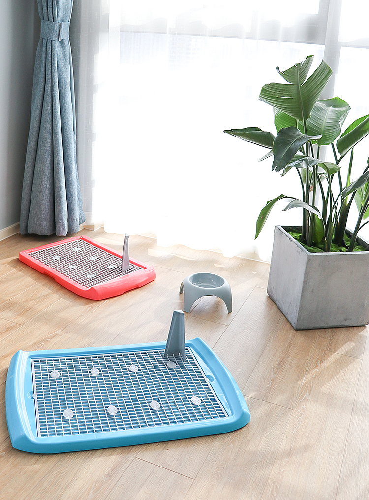 宠物用品拍摄-平板犬厕（图ZMjE5NzE1MTg4） - 产品摄影 - 站酷设计师小艾创意原创素材 - 站酷ZCOOL