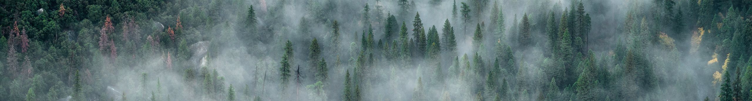 銘心Jack的個(gè)人主頁（封面預(yù)覽） - 主頁封面設(shè)置 - 站酷設(shè)計(jì)師銘心Jack原創(chuàng)素材 - 站酷ZCOOL