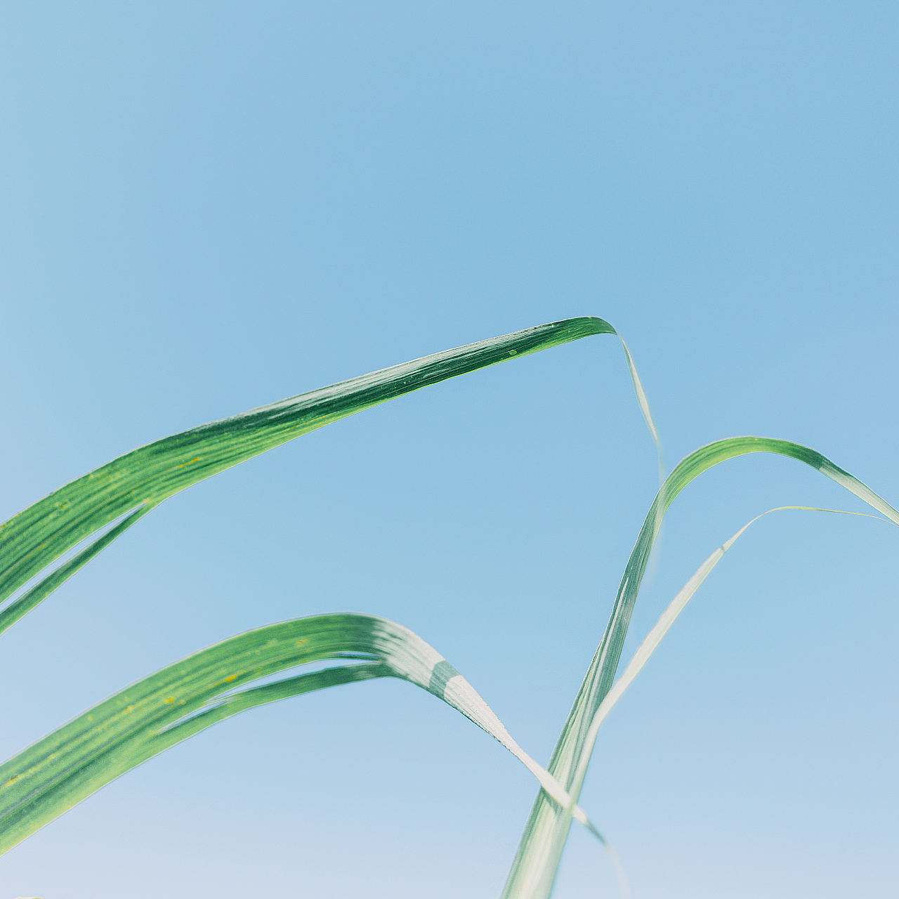 怎么去拥有一道彩虹