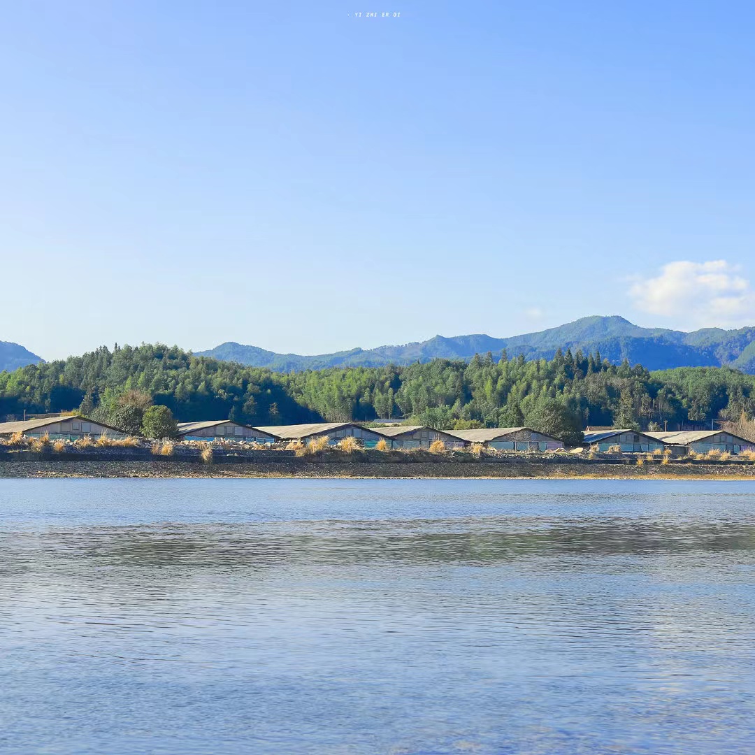 小Z女士的个人主页（封面预览） - 主页封面设置 - 站酷设计师小Z女士原创素材 - 站酷ZCOOL