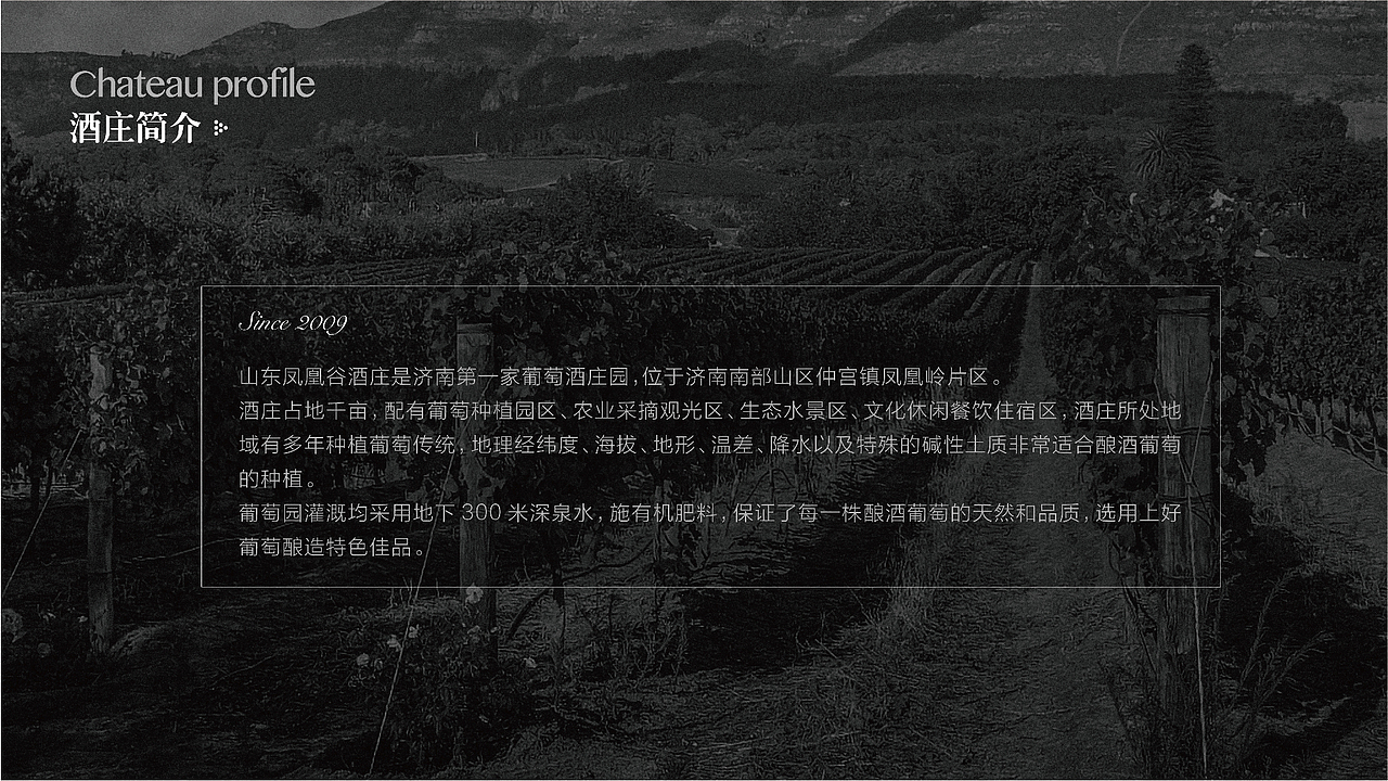 凤凰谷酒庄品牌形象