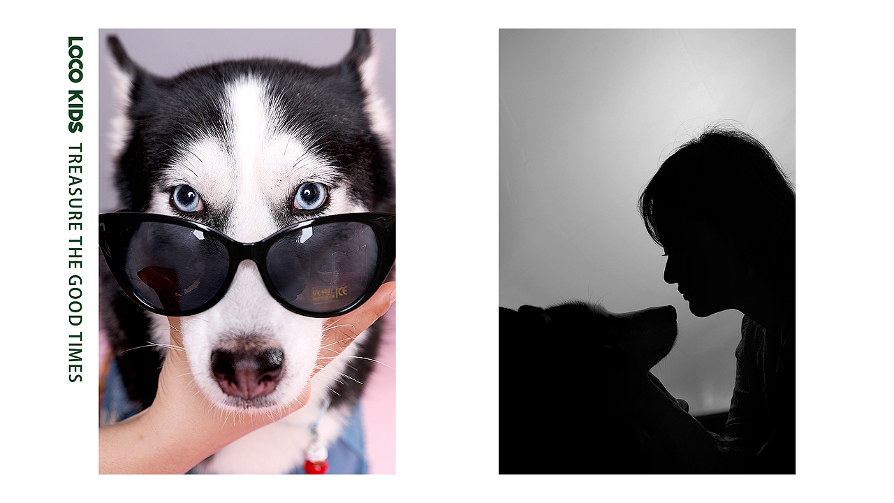 宠物摄影（图ZMTgwMjczODM2） - 宠物摄影 - 站酷设计师记不住名字的名字原创素材 - 站酷ZCOOL