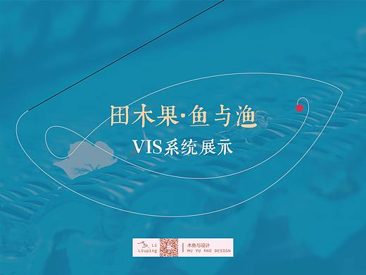 田木果鱼与渔项目分析+VIS系统展示