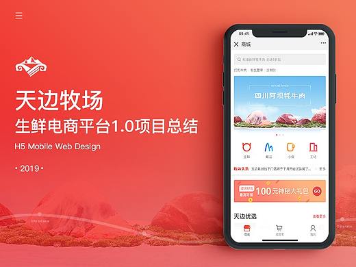 高原农产品生鲜电商平台项目总结