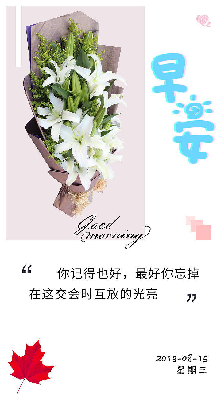 让每一朵花,跟你说早安