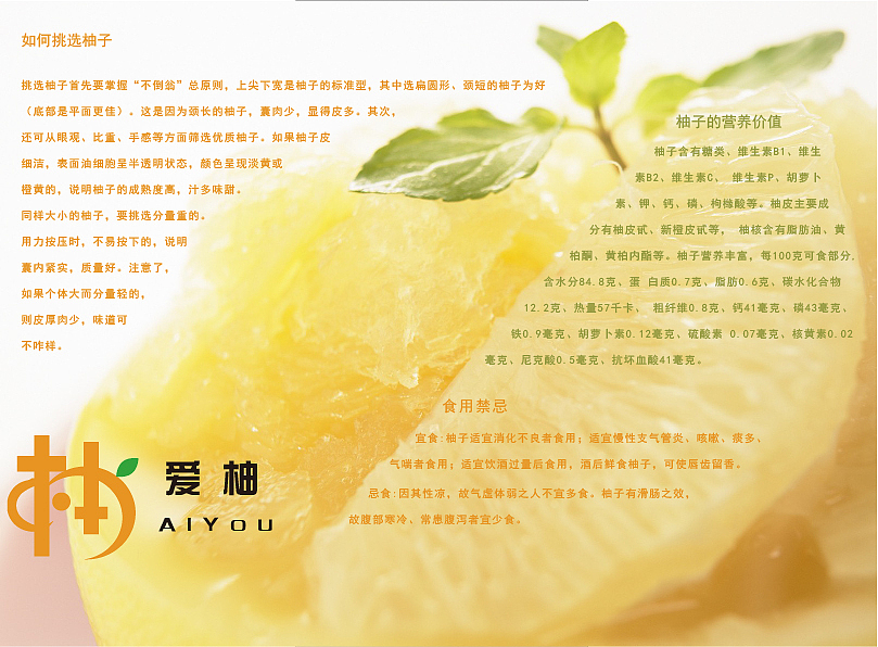 爱柚三折页（图ZNTgzNTMxMDQ=） - 宣传物料 - 站酷设计师执念宝宝原创素材 - 站酷ZCOOL
