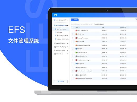 EFS 文件管理系统