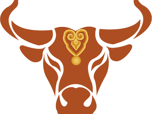 牛肉干包装