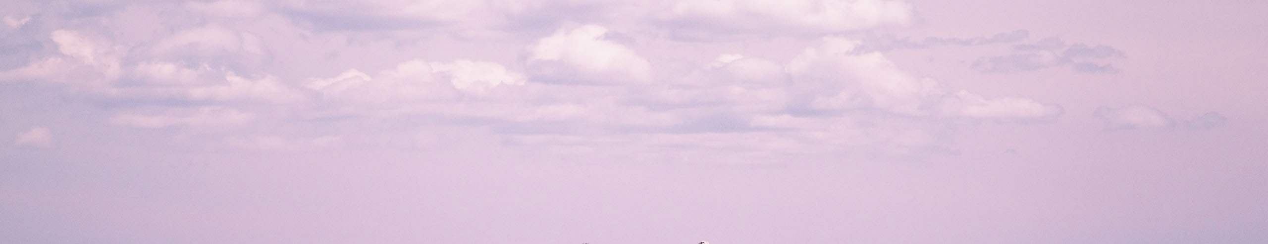 麥子釀酒兒的個(gè)人主頁（封面預(yù)覽） - 主頁封面設(shè)置 - 站酷設(shè)計(jì)師麥子釀酒兒原創(chuàng)素材 - 站酷ZCOOL