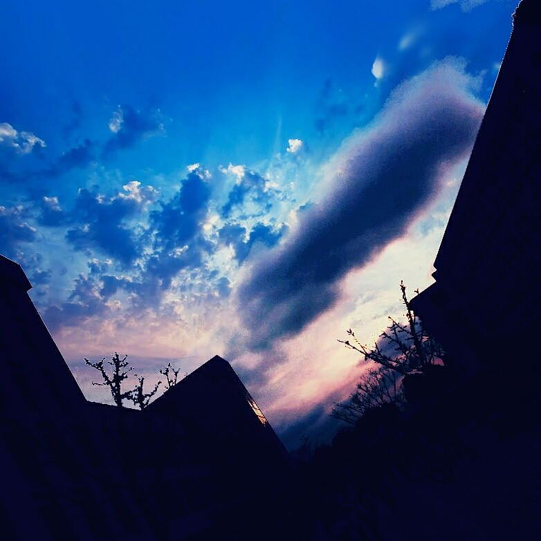 那一年，我的校园，我们的月亮岛