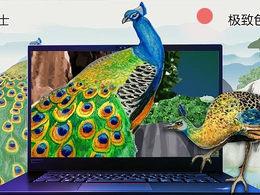 ThinkPad隐士_孔雀之惑