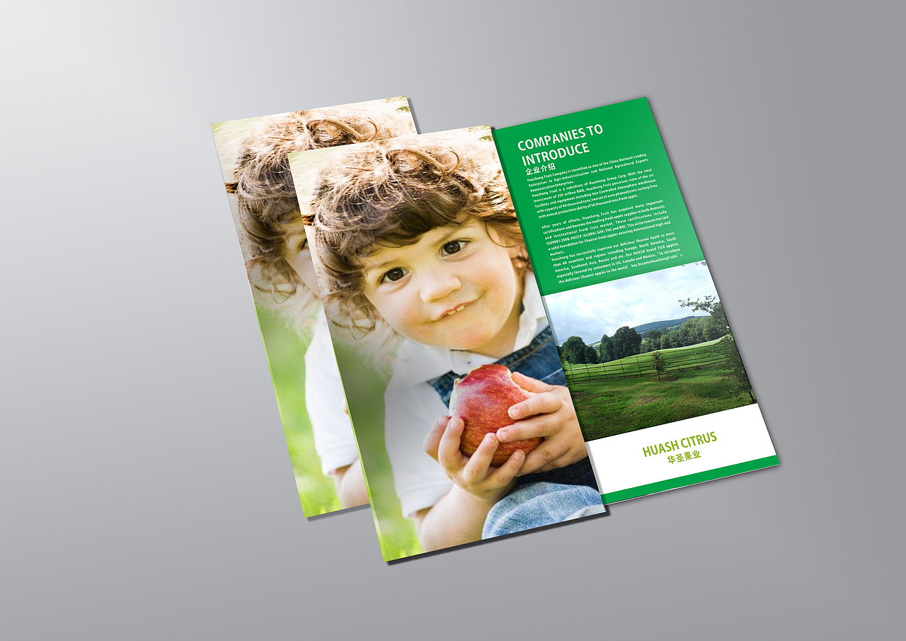 华圣果业 三折页（图ZMTg5MzkxMDg=） - 宣传物料 - 站酷设计师问鱼品牌设计原创素材 - 站酷ZCOOL