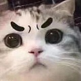 尘埃dust的头像