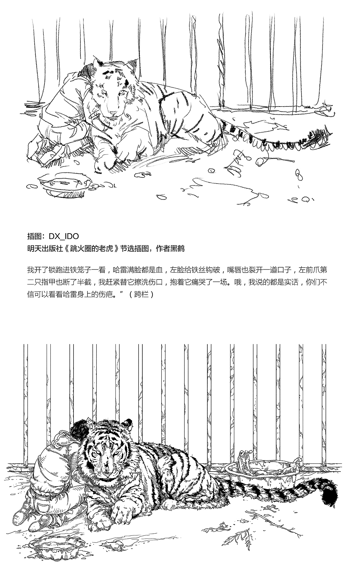 2189 一些插图整理（图ZMTI5NTg5MTUy） - 绘画 - 站酷设计师DX_IDO原创素材 - 站酷ZCOOL