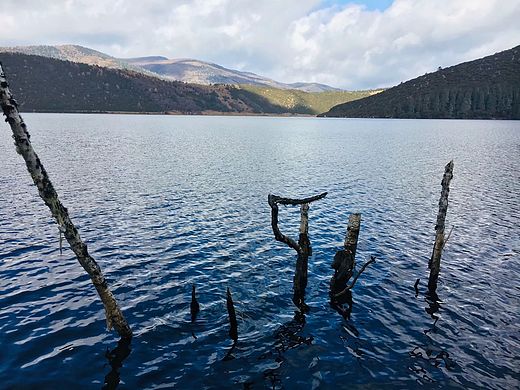 枯（个人主页-ZNTI5NzAyNDA=） - 风光摄影 - 站酷设计师Juzizizizi原创素材 - 站酷ZCOOL