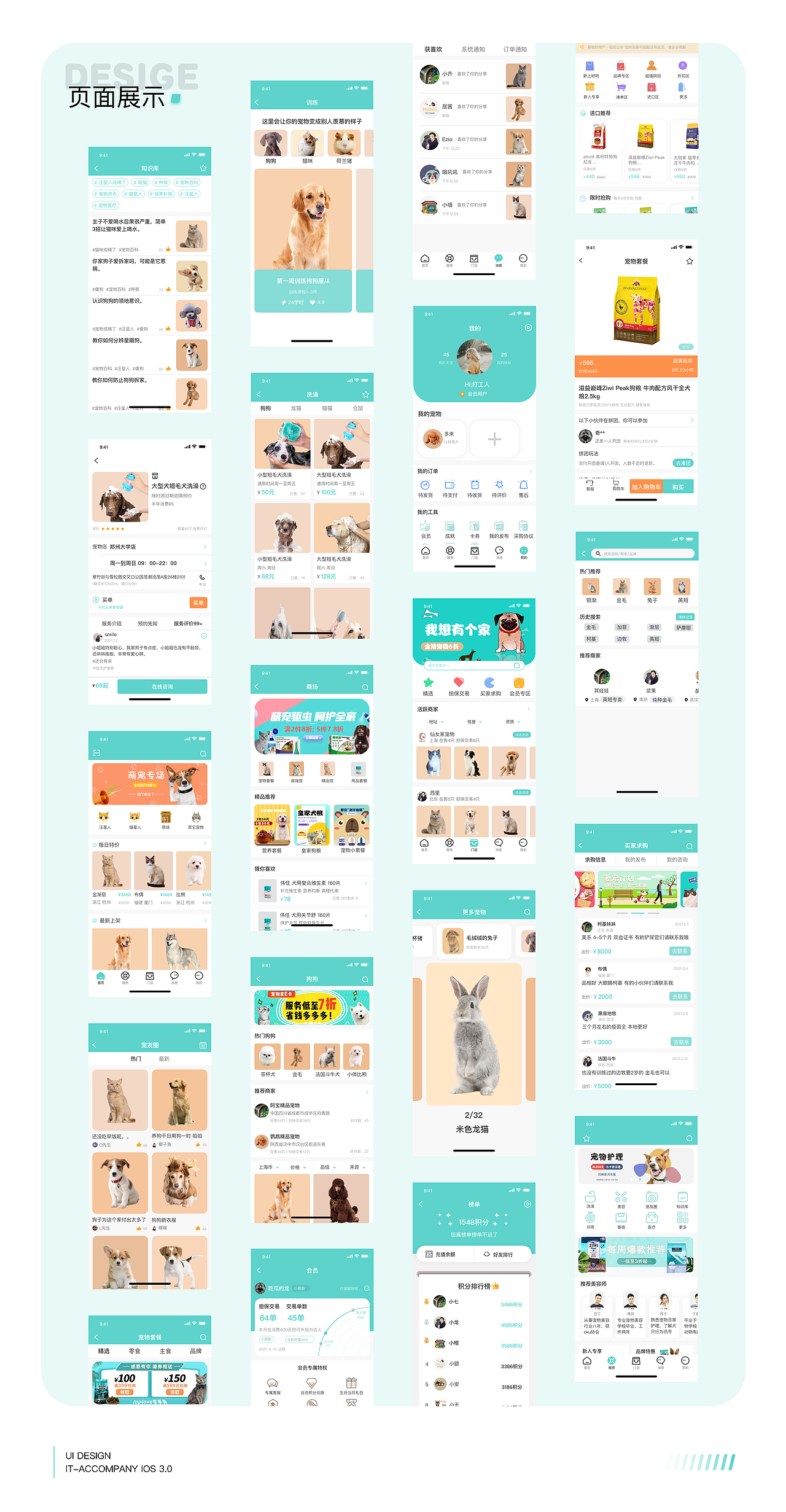 作品集（图ZMjUxNzc1NDUy） - APP界面 - 站酷设计师吃瓜的龙原创素材 - 站酷ZCOOL