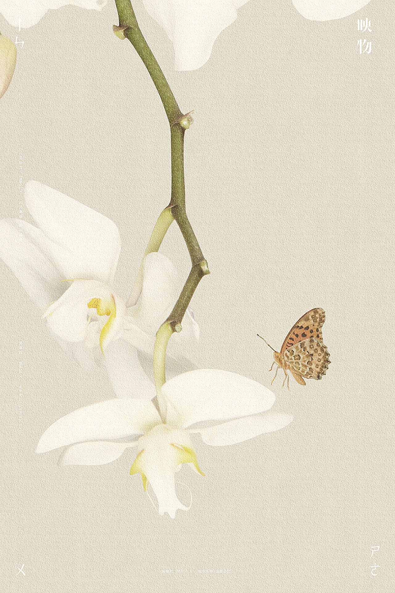 中国风摄影 | 庄周梦蝶 x 映物社