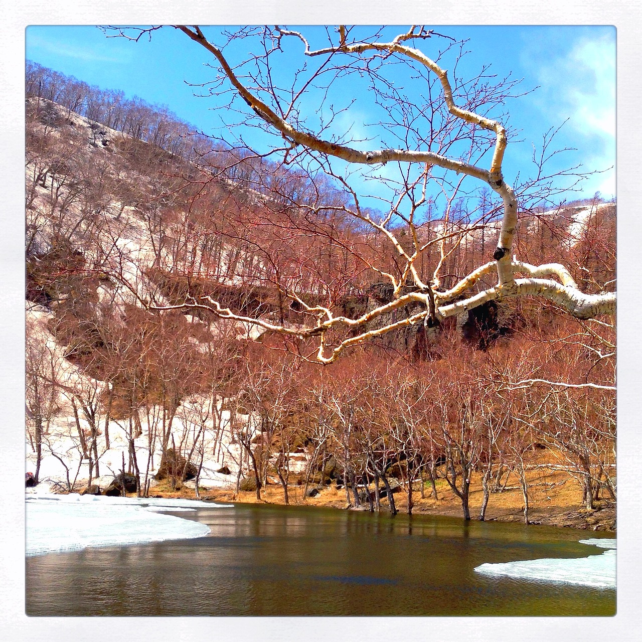 5月的長白山（圖ZOTc3NDU1Ng==） - 風光攝影 - 站酷設計師大連瑞智廣告公司原創(chuàng)素材 - 站酷ZCOOL