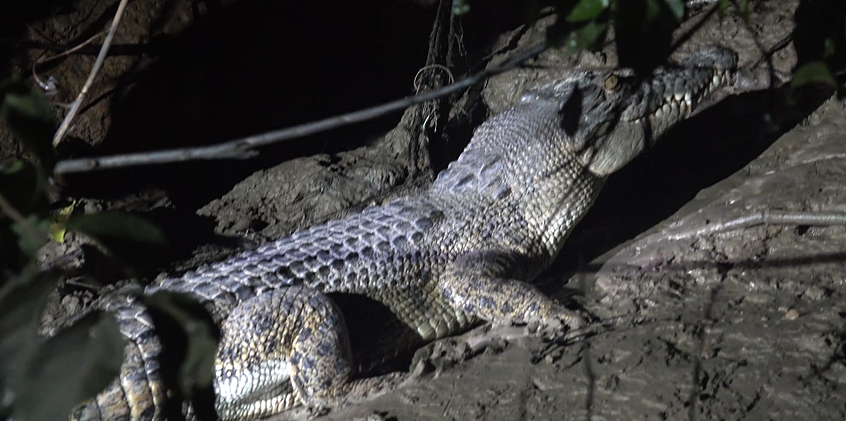 奇幻湃-尖叫吧女神户外探险项目ep07