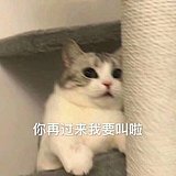 BJ不觉的头像