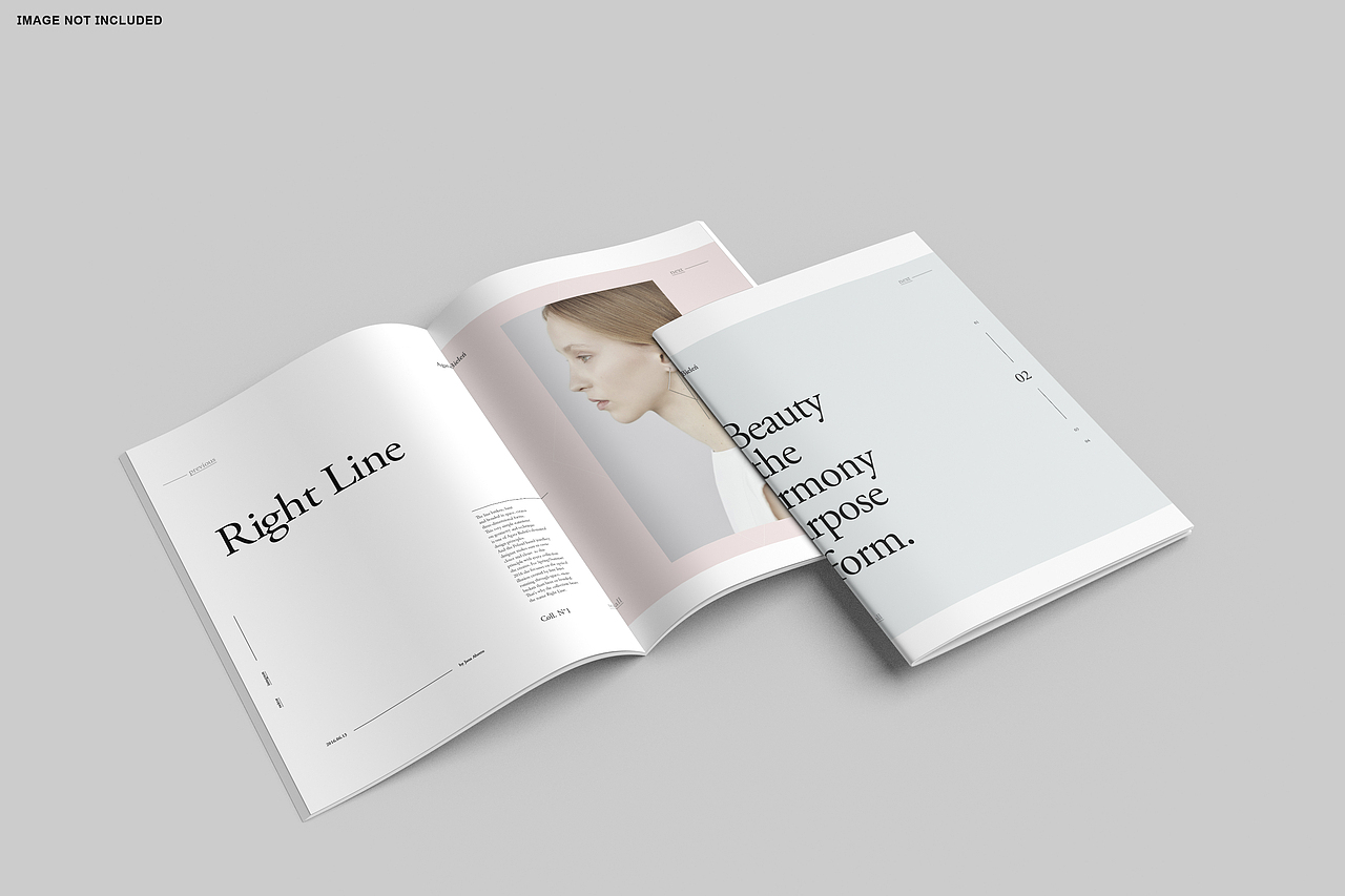 书籍画册样机系列(十)