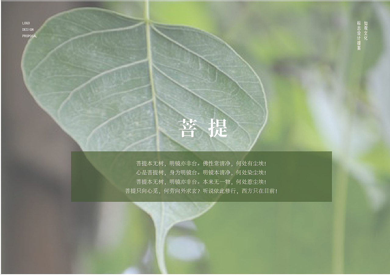 如观一词,源于金刚经,这便是标志设计的立意点~一切有为法,如梦幻泡影