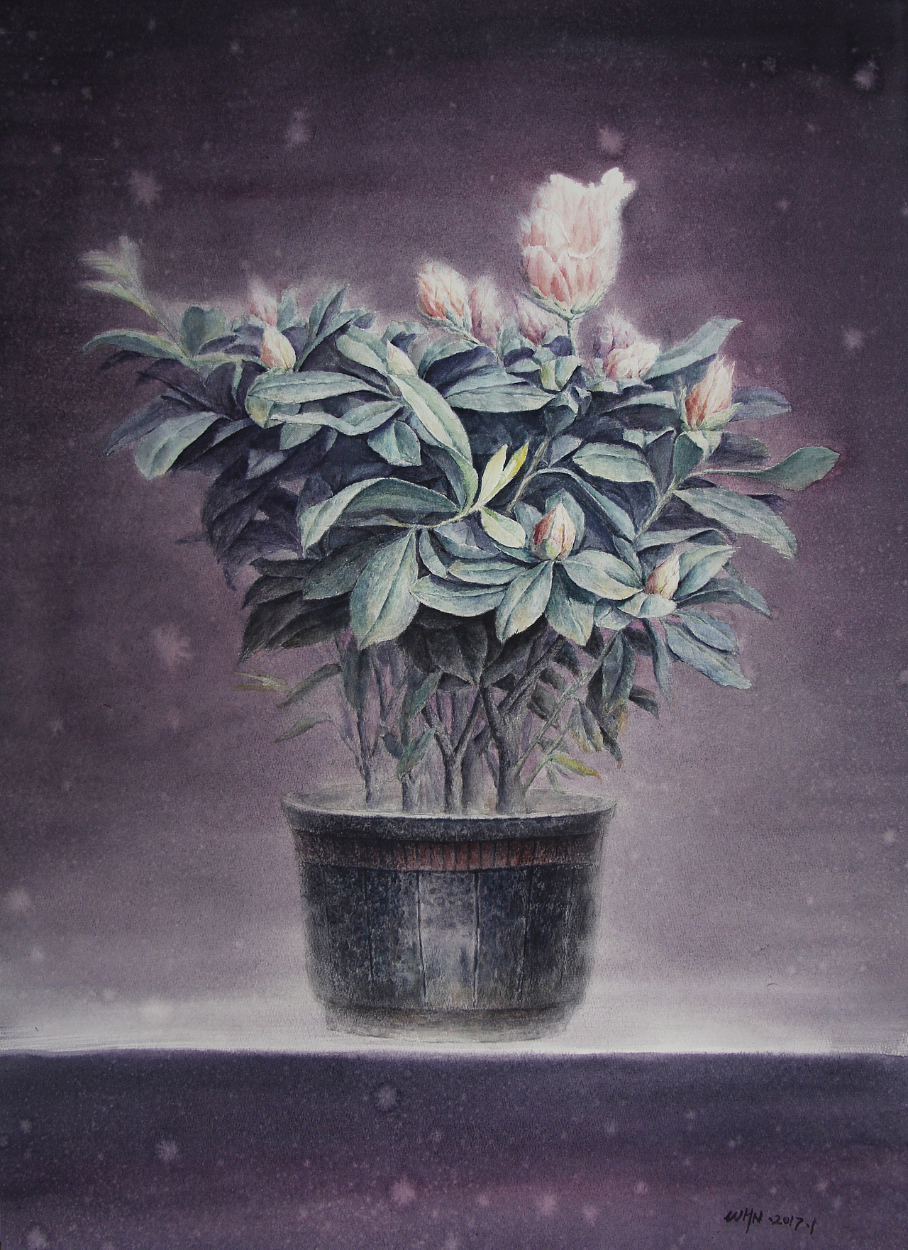 盛开在春天里11