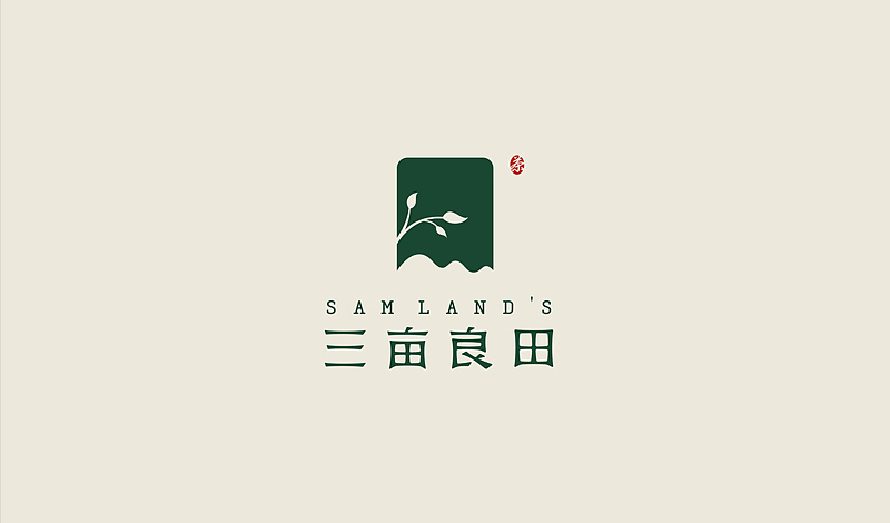 "三亩良田"LOGO设计飞机案例