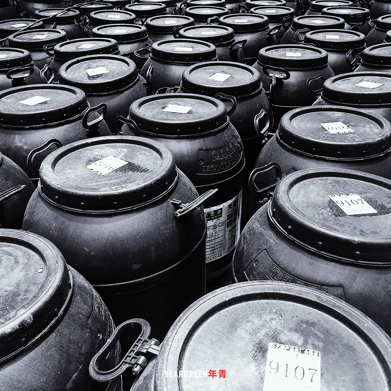 iPhone摄影 · 所见