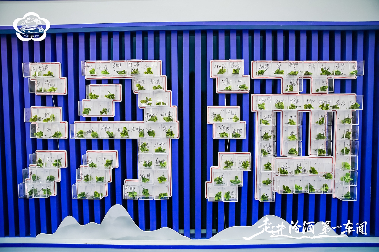 汾酒活动:走进汾酒第一车间·全国主流媒体原粮基地行