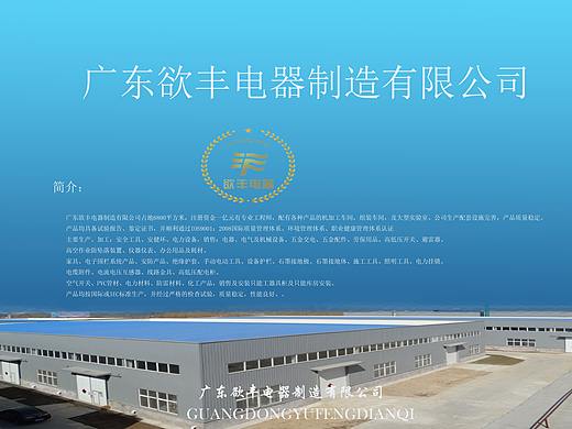 欲丰电器产品图录