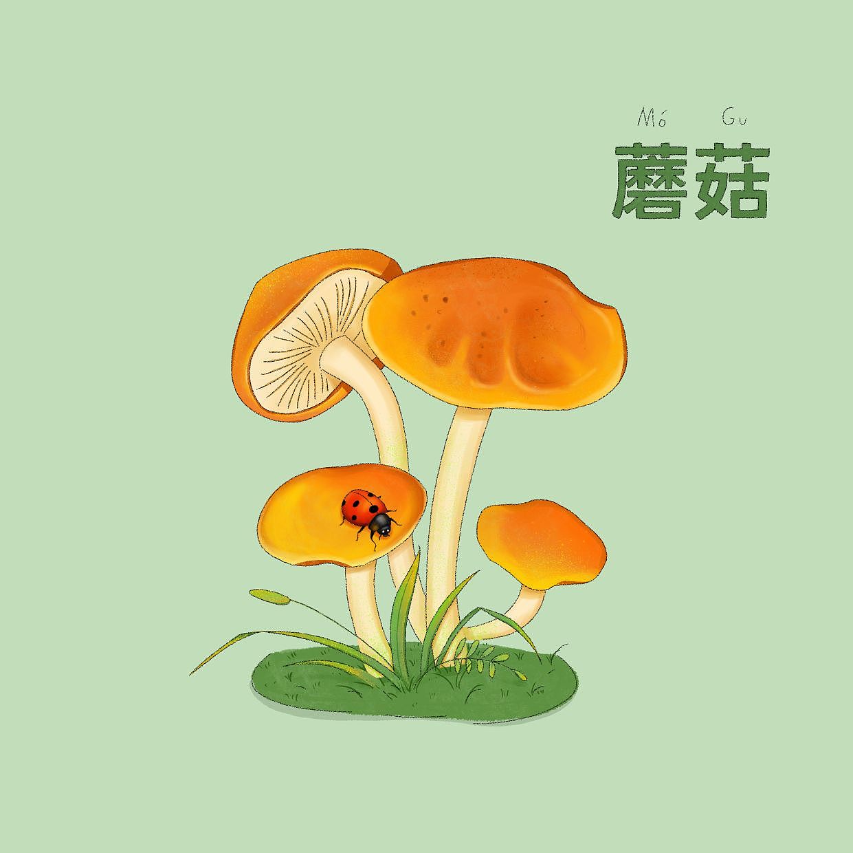 动植物主题插画