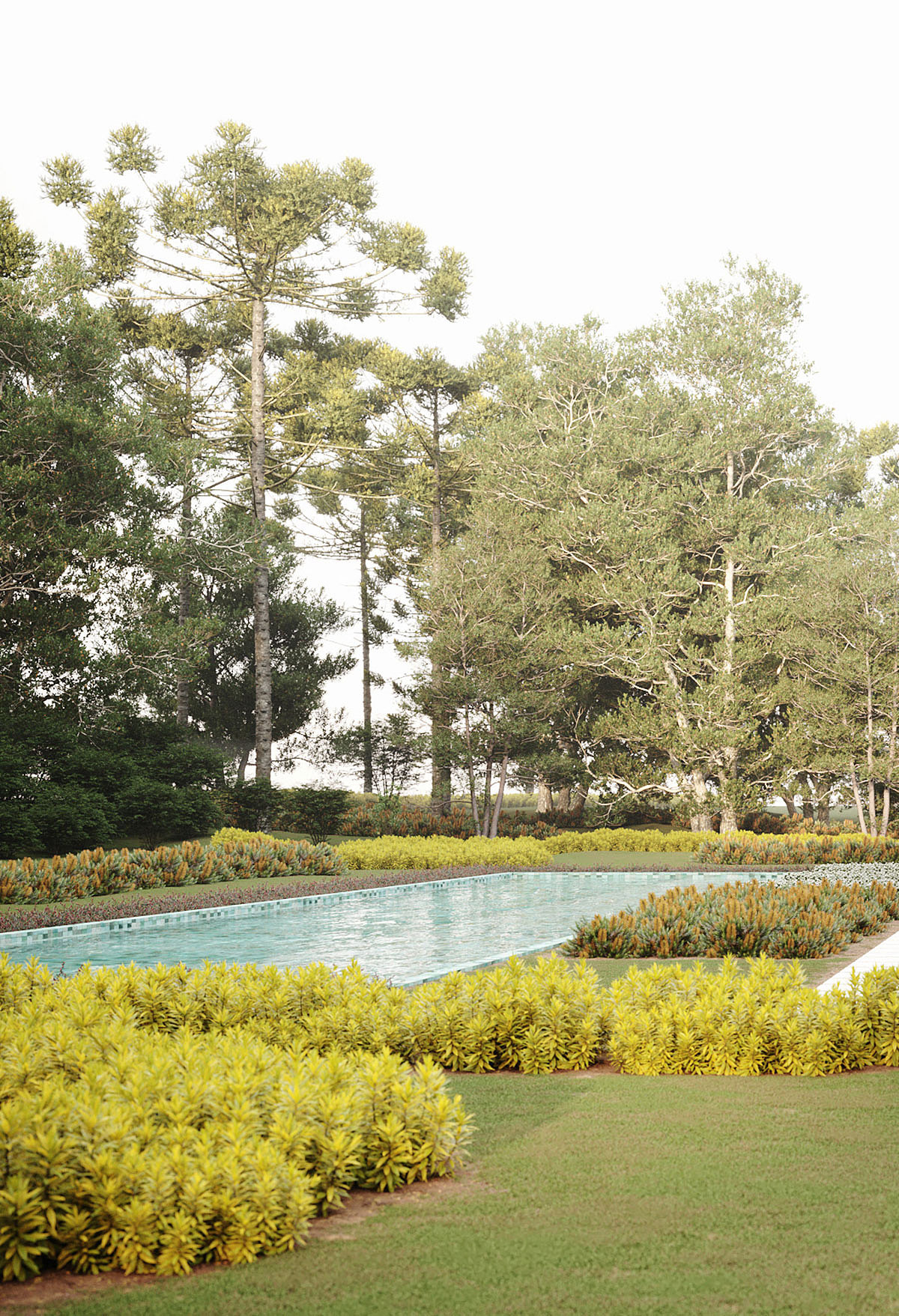 ZINGVR 建筑设计 · 巴西波尔图费利兹之家 