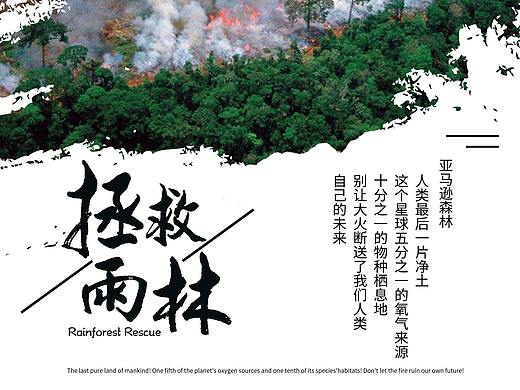 拯救雨林