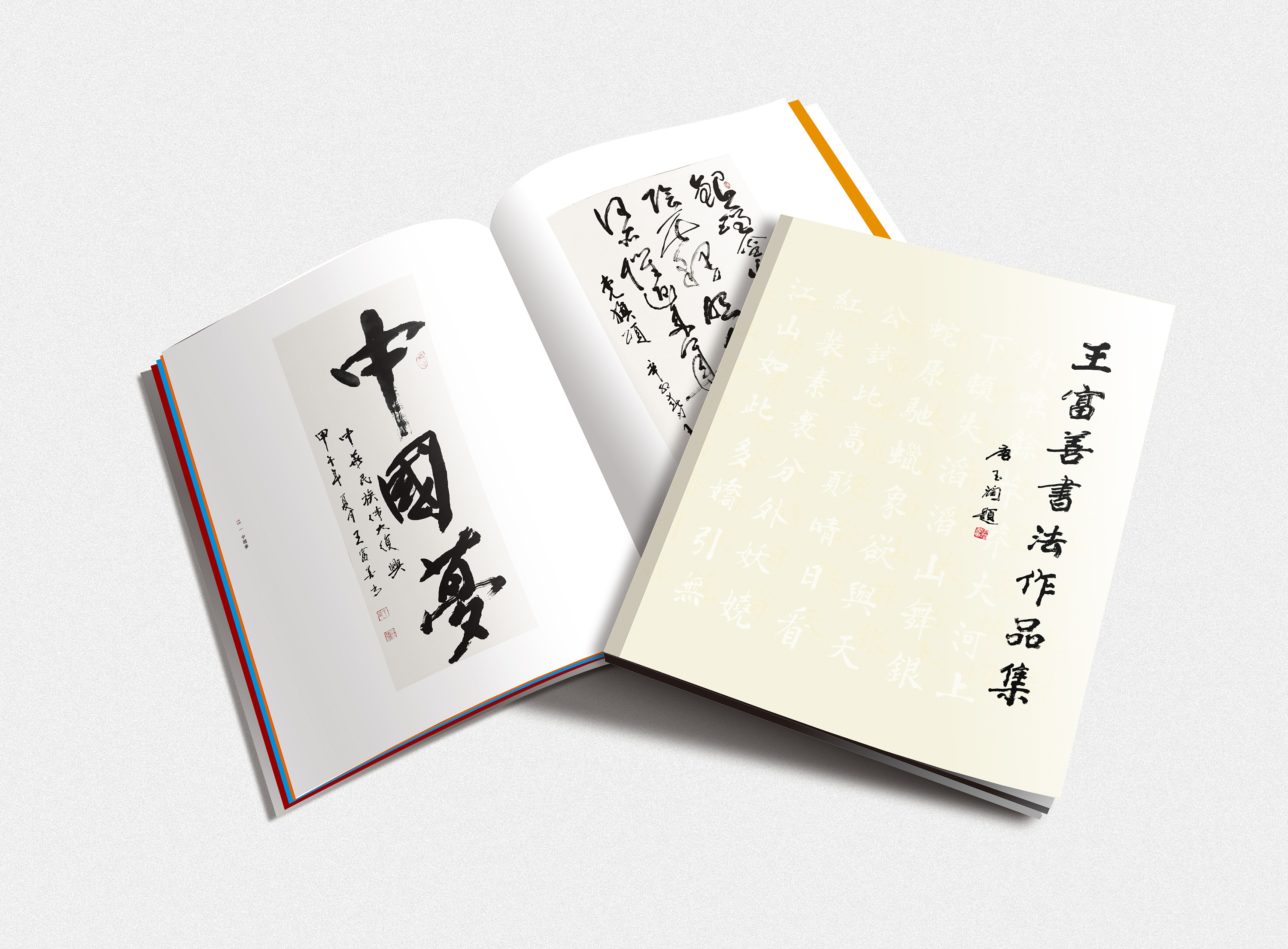 王富善书法画册效果图