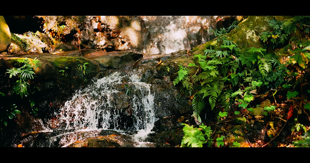 西湖盛宴·餐具（图ZMjk1NDgzMzIw） - 产品摄影 - 站酷设计师izhartursun原创素材 - 站酷ZCOOL