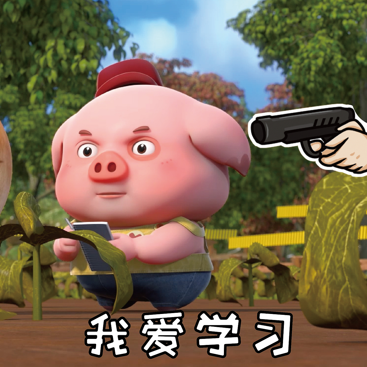 豆豆猪表情包:透露出智慧的光芒,确定是豆豆猪本猪了