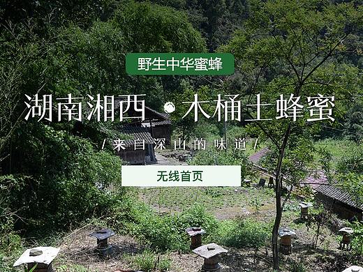 店铺首页  无线首页   蜂蜜   绿色食品首页    