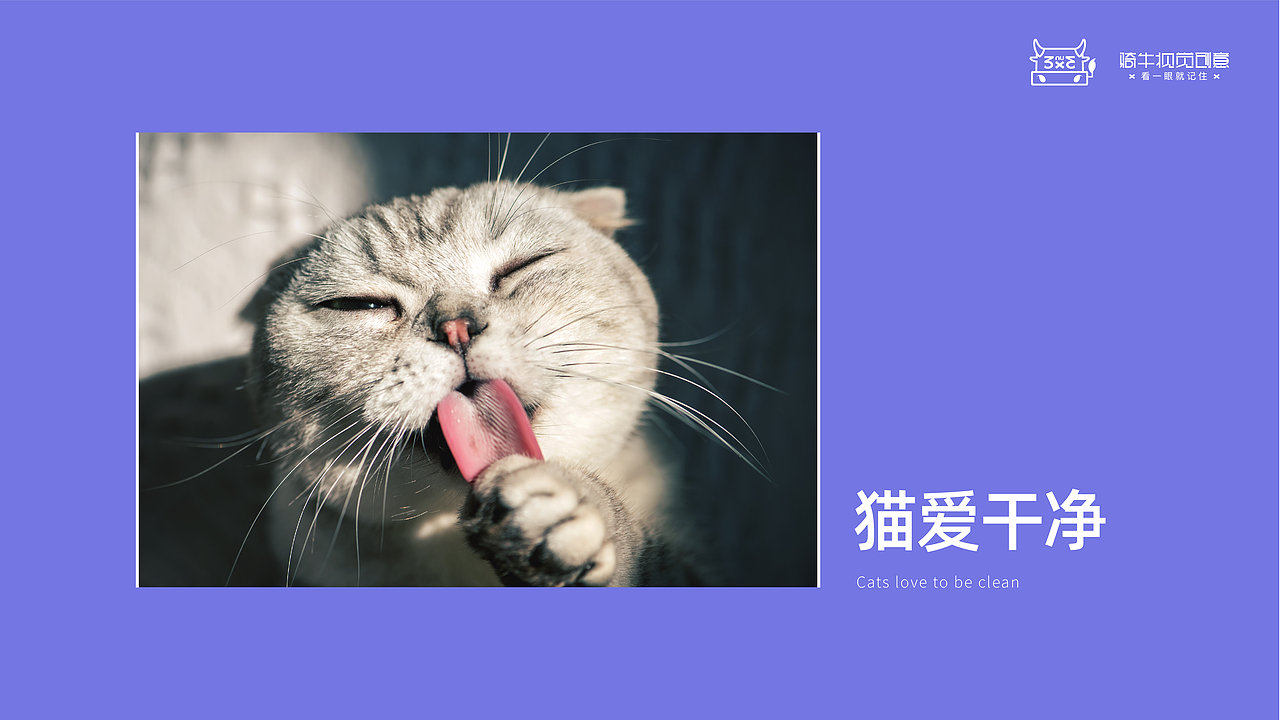 美的冰箱吉祥物飞机稿