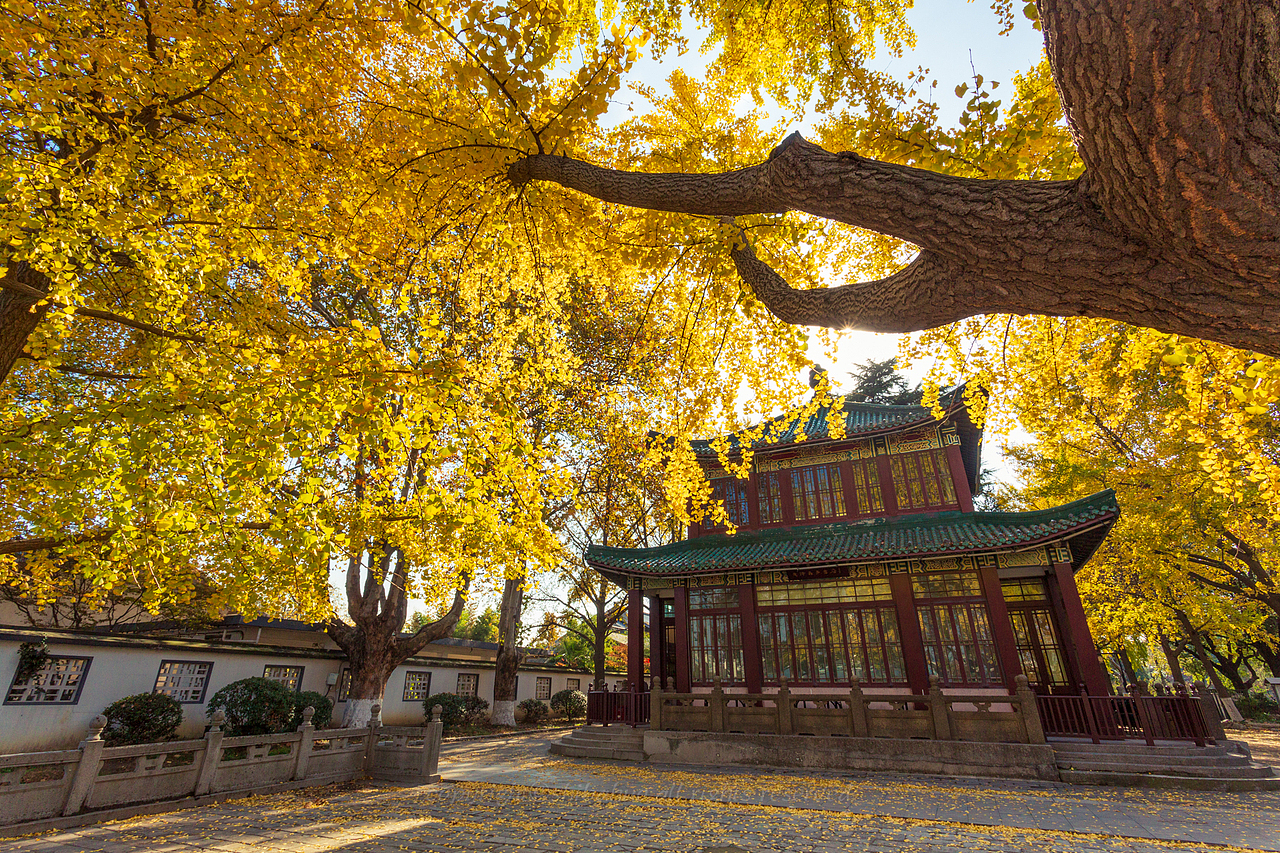 金陵秋色（图ZMjgwNjY3ODIw） - 风光摄影 - 站酷设计师十把火原创素材 - 站酷ZCOOL